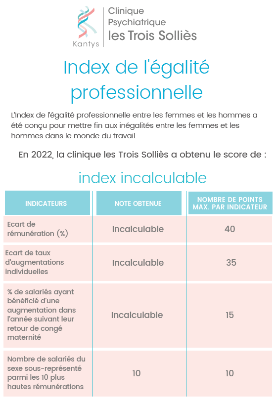 3s-index-egalite-professionnelle-2022