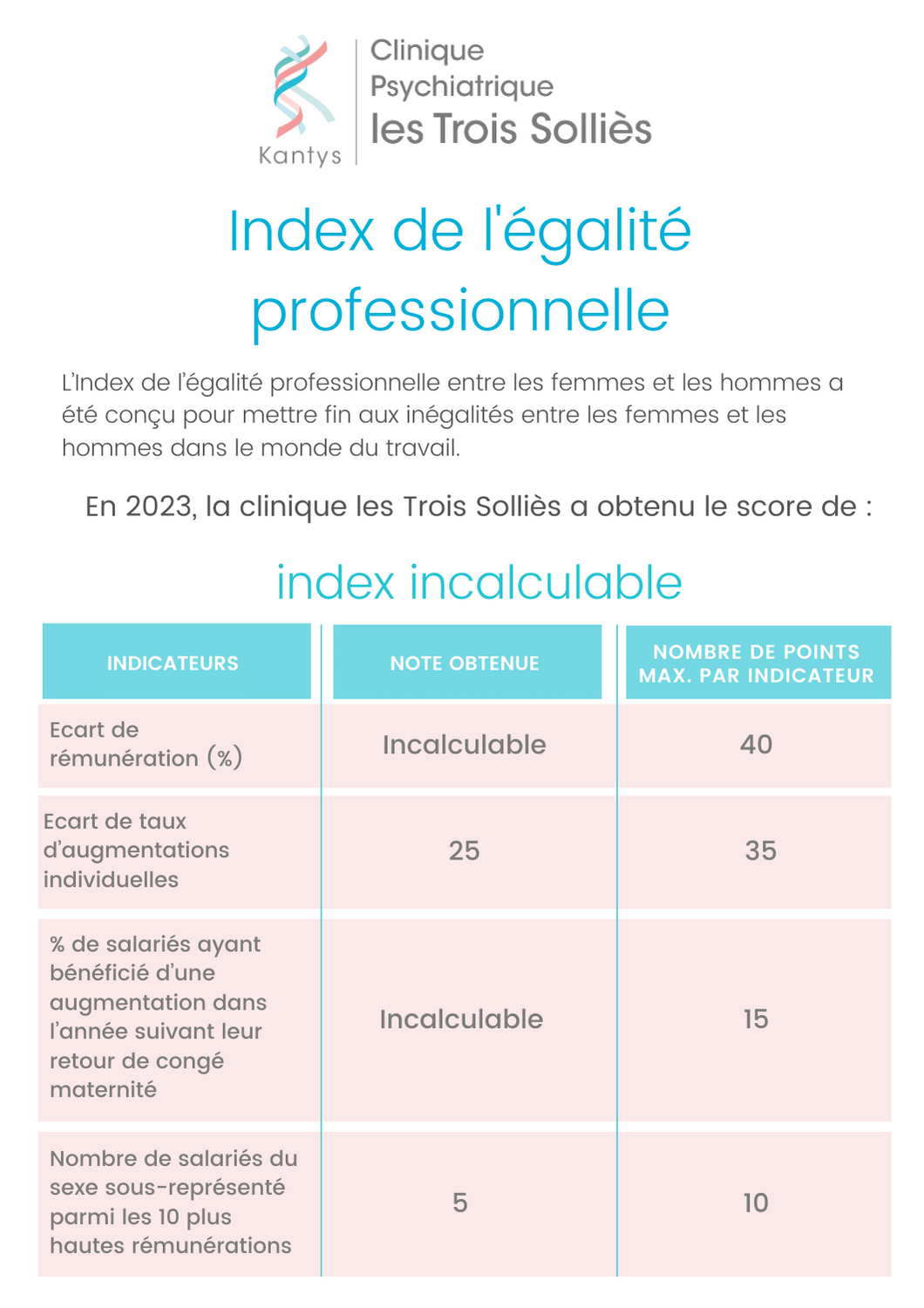 index-de-legalite-professionnelle3sollies