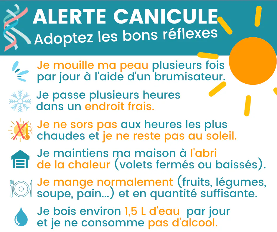 canicule-les-bons-reflexes canicule-les-bons-reflexes